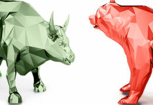 Bull and Bear markets