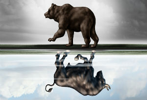 Bear and Bull Market