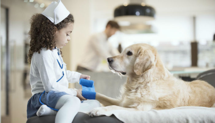 girl playing vet with dog