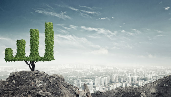 Market growth and success as growing green tree in shape of graph