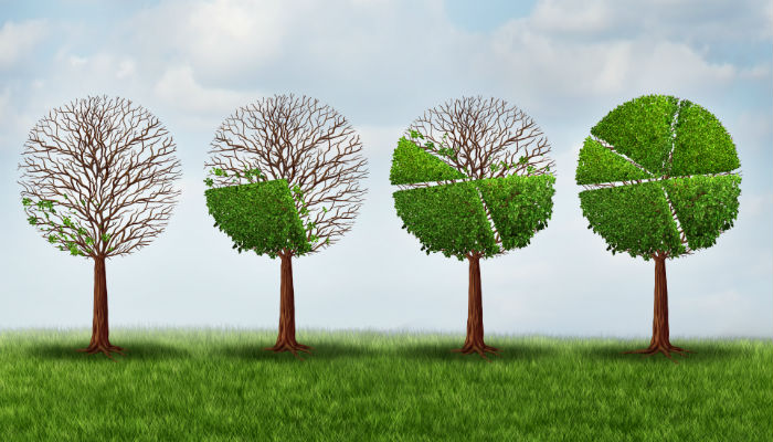 illustration of four trees growing leaves