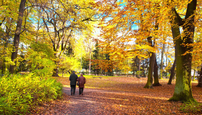 older couple walking in the park