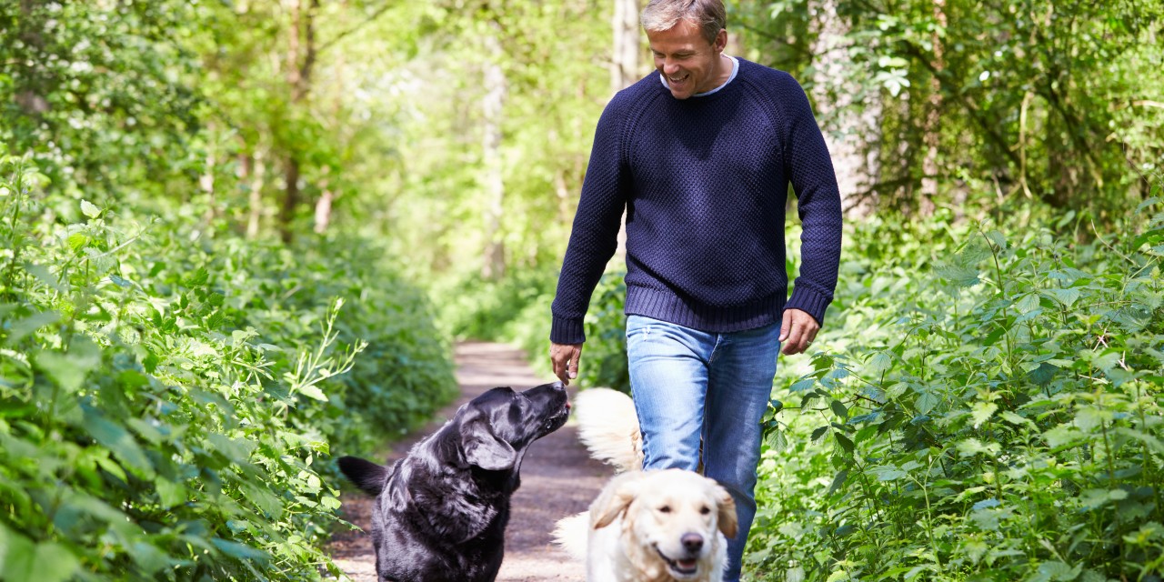 man walking two dogs