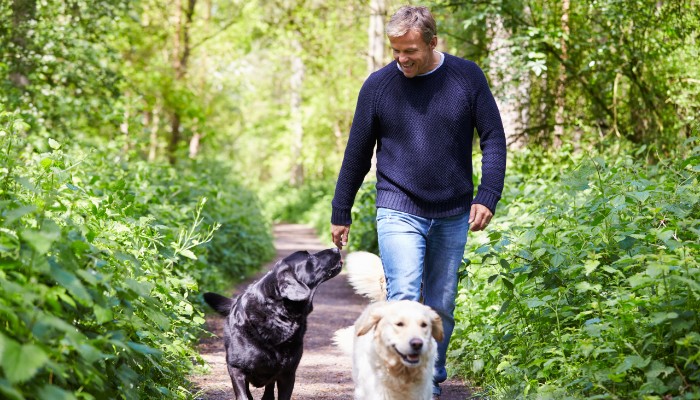 man walking two dogs