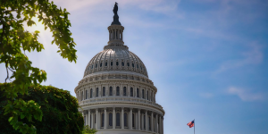 View of the White House through trees
